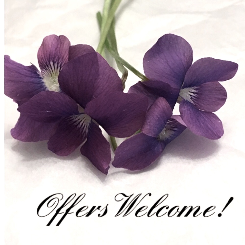 🌺🌺 Offers Welcome 🌺🌺